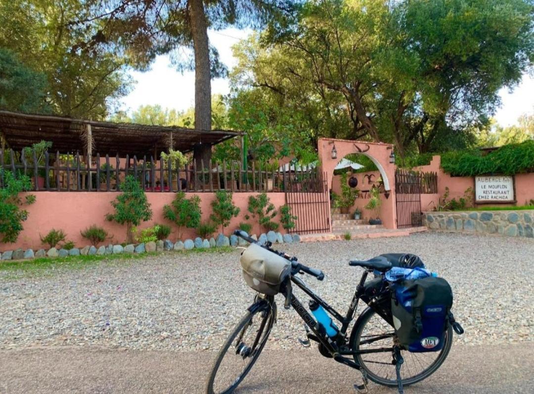 Auberge Le Mouflon เวียร์เกน ภายนอก รูปภาพ
